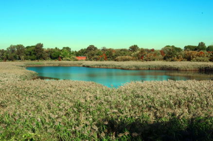 Ridgewood Reservoir 1